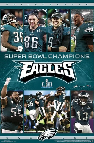 PHILADELPHIA EAGLES Super Bowl LII 2018 Championship CELEBRATION 22x34 POSTER Cover