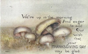 1916 F. A. Owen Vintage Thanksgiving Postcard Mushrooms - Picture 1 of 2