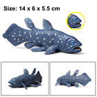 Latimeria chalumnae Gombessa Figure Animal Collector Fish Toys Model Kids Gift