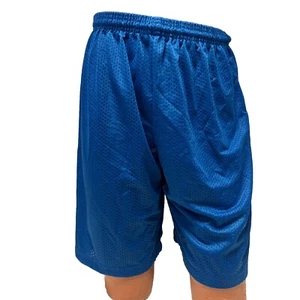 A4 Royal Mesh Gym Short Adult Med AA4-2 - Picture 1 of 5
