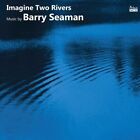Barry Seaman : Imagine Two Rivers: Music By Barry Seaman CD (2023) Amazing Value