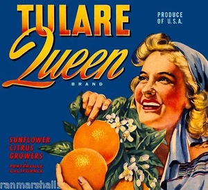 Porterville Sunflower Citrus Tulare Queen Orange Citrus Fruit Crate Label Print - Bild 1 von 1