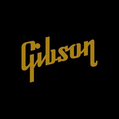 GIBSON LES PAUL JUNIOR MELODY MAKER HEADSTOCK LOGO Self Adhesive Vinyl Decal x2