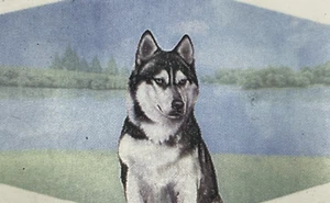 Siberian Husky Liebhaber Gesichtsmaske Doppelnaht Dreifachfilter Hochwertig - Bild 1 von 7