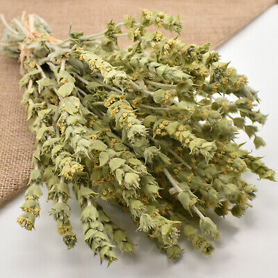 Mountain Tea Greek Natural Herbal Tea Sideritis Gojnik • 2.14€