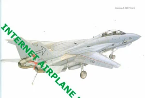 AVIATION ART GRUMMAN F-14A+ TOMCAT USN VF DESERT STORM 1990-91 CV CVN CVW - Picture 1 of 1