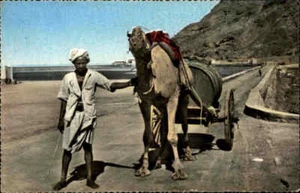 JEMEN Postkarte Yemen Postcard ~1960 ADEN Native Camel Cart Einheimischer Karren - Picture 1 of 2