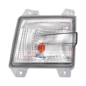 Labwork Right Side Turn Signal Light For 2017-2020 Honda Ridgeline Halogen Clear - Picture 1 of 17