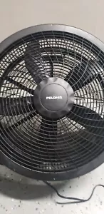 Fan Pelonis - Picture 1 of 3