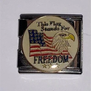 Esta bandera representa la libertad esmalte encanto italiano 18 mm EE. UU. Águila americana raro - Imagen 1 de 2