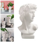Greek Mythology   Bust Statue Flower Pot Vase Planter Resin Sculptures