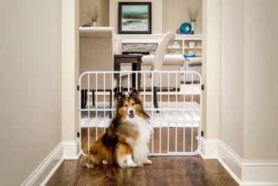 Carlson Pet Products Tuffy Metal Expandable Pet Gate 24x22-38 inches, White - Image 1 of 4