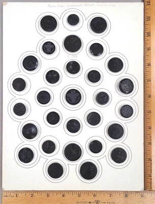 Card of 30 ANTIQUE BUTTONS, Assorted DYED HORN, Carved Floral Designs, 1800s - Image 1 of 3