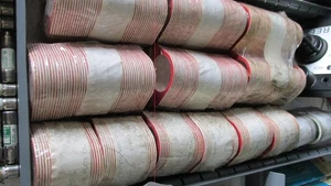 Royal Oak Name Plate X100-3 RED Blank Push Button Lot of 100 New/Nos - Picture 1 of 2