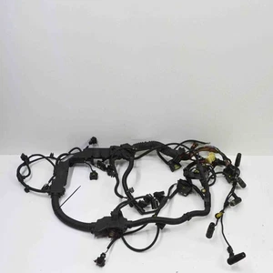 Arnés de cable de motor BMW 5 Touring F11 3,0 diésel 180 kW 2010 21672315 - Imagen 1 de 7