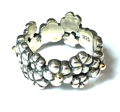 Sterling Pandora 14k Flower Daisy Eternity Band Ring 9mm Size 6 - Image 1 of 4