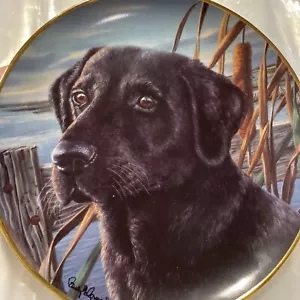 Man's Best Friend Franklin piatto da collezione come nuovo edizione limitata LE8804 GB - Foto 1 di 15