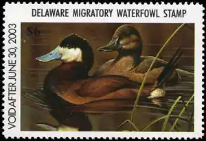 DELAWARE #23 2002 STATE DUCK RUDDY DUCK by George Lockwood - Picture 1 of 1
