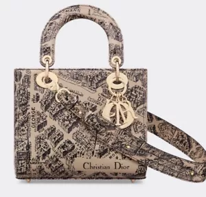 New Authentic SMALL LADY DIOR MY ABCDIOR BAGBeige and Black Plan de Paris - Picture 1 of 12