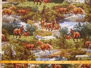 Patchworkstoff (€20/m²) Pferde Wildpferde 1,1m breit - Bild 1 von 6