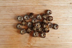 Juego de 4 botones de armónica de Estiria estriados estriados de Estiria cuerno de ciervo - Imagen 1 de 1