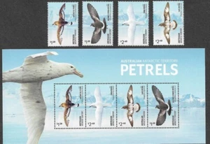 AUSTRALIAN ANTARCTIC TERRITORY BIRDS PETRELS MNH SET & MIN SHEET 2024 - Picture 1 of 1