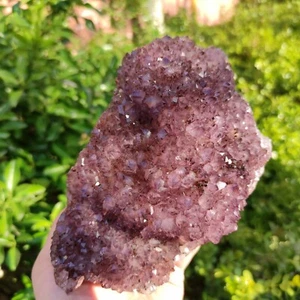 3.725LB Geoda Natural Violeta Cuarzo Grupo Cristal Mineral Espécimen Curación - Imagen 1 de 12