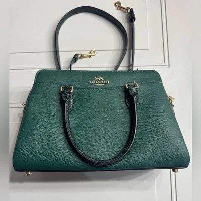 Bolso de Transporte Coach Darcie Cuero Guijarro Verde Piel de Serpiente Asas Excelente Foto 1 de 4