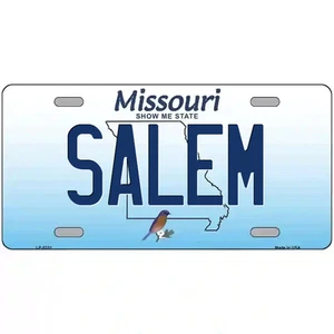 Salem Missouri Metal Sign - Picture 1 of 1