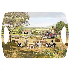 Nuevo Collie an Bandeja Grande Platos de Cena Perfectos para Fiesta de Té Etc 47.5x 33.5 x 4.8cm - Imagen 1 de 1