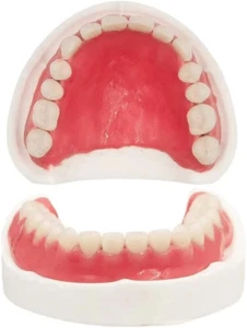 Fake Teeth-Do It Yourself Denture-Top and Bottom Temporary Teeth, Easy - Picture 1 of 12