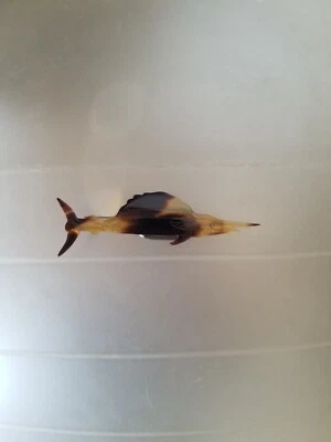 Acrílico, ámbar imitación caparazón de tortuga marrón broche de corbata en forma de marlin? Pez vela? Foto 1 de 3