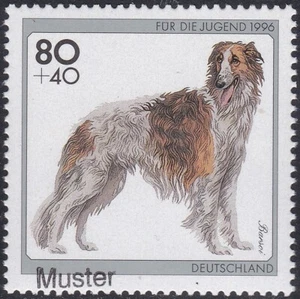 Specimen, Germany ScB792 Dog, Borzoi - Picture 1 of 1