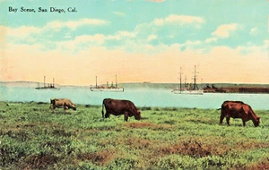 Postal CA San Diego California-Panamá California Expo. View-Vintage Antiguo 1915C9 - Imagen 1 de 4