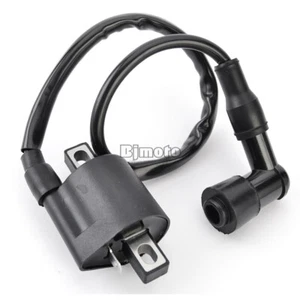 Ignition Coil For Kymco ATV Mxer 150 125 MXU150 Adly ATV 100 V 30510-116-000 - Imagen 1 de 9
