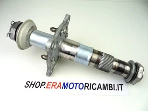 ASSE PERNO ASSIALE FISSAGGIO CERCHIO POSTERIORE TRIUMPH SPEED TRIPLE 1050 2010 - Imagen 1 de 9