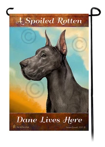 Un danese blu viziato marcio ritagliato vive qui - Foto 1 di 1