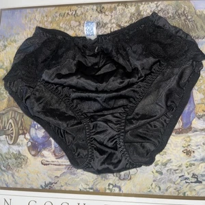 Vintage Maidenform Chantilly Spitzenbesatz seidig Nylon Bikini Slip Höschen - Bild 1 von 11