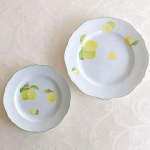 Richard Ginori Antico Limone Teller 21 cm 26,5 cm Set - Bild 1 von 7