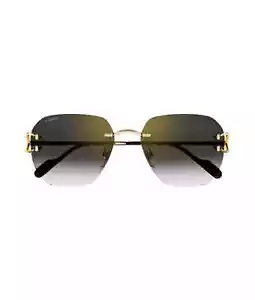 New Cartier CT0394S Square Sunglasses - Picture 1 of 1