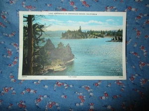 Old Postcard ? ? Calif Lake Arrowhead in Arrowhead Woods California The Lake - Picture 1 of 2