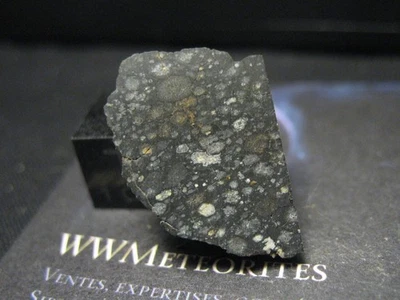 NWA 11546 - Highly Unequilibrated CV3 - Olivine Fa3.6±4.0 means PMD 106% - image 1 of 2