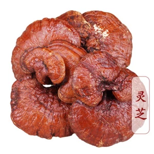 Lingzhi Mushroom Ganoderma Lucidum 500g Jilin Origin Natural Chinese Herbal Tea - Picture 1 of 12