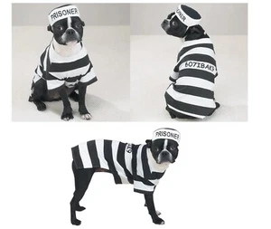 Prison Costume for Dogs Dress Your Pooch as Your Favorite Prisoner Bad Dog! - Picture 1 of 7