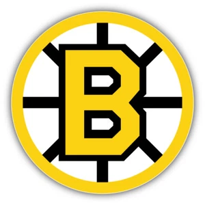 Boston Bruins NHL Logo B Car Bumper Sticker Decal  - 3'' or 5'' - Picture 1 of 1