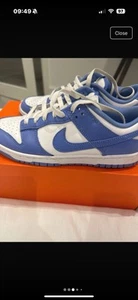 Nike Dunk Polar Blue Warn A Few Times Great Condition Comes With Box Size 7.5 - Picture 1 of 10