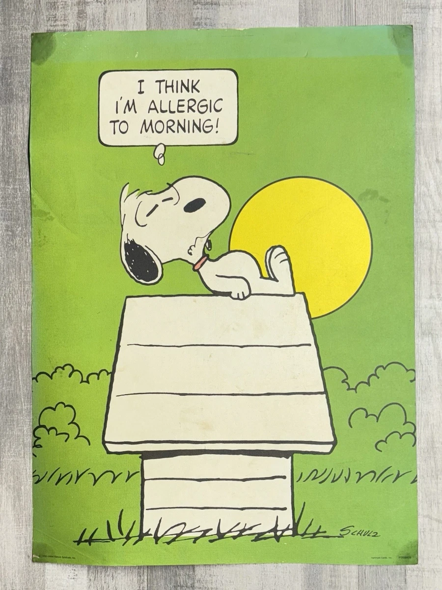 Vintage Snoopy Poster In other Collectible Peanuts Items for sale