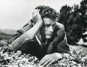 James Dean•East of Eden 1955•Postcard France - Picture 1 of 1