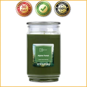 Mainstays Alpine Forest Scented Single-Wick Glass Jar Candle, 20 oz New - Picture 1 of 6