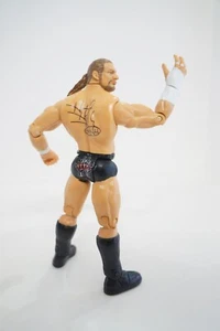 Figura de acción de lucha libre en vivo WWF WWE Triple H Jakks Titan Tron - Imagen 1 de 7